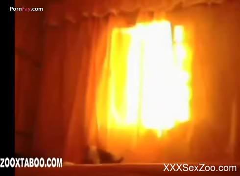 Young brunette lets her dog eat that delicious pussy