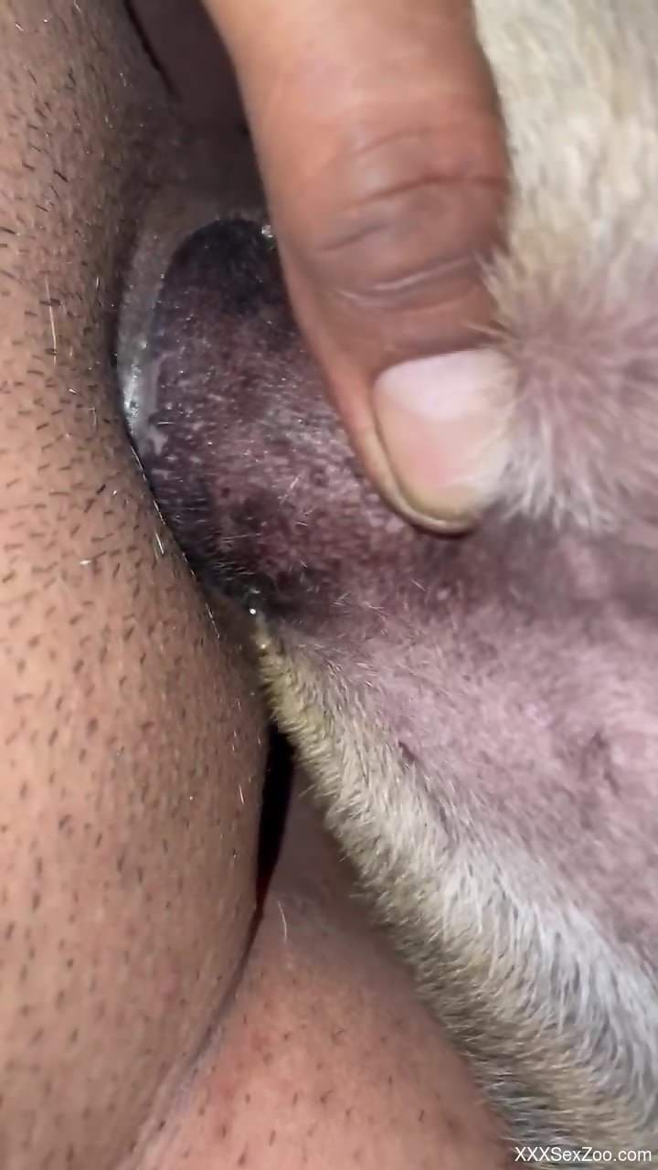 Closeup zoophilic video that will make you cum