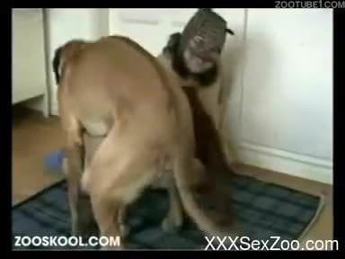 Masked slut gets licked by a brown dog on camera