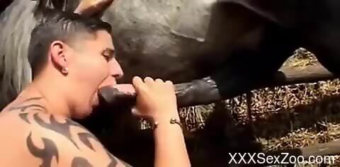 Busty mature throats a giant horse dick before sex