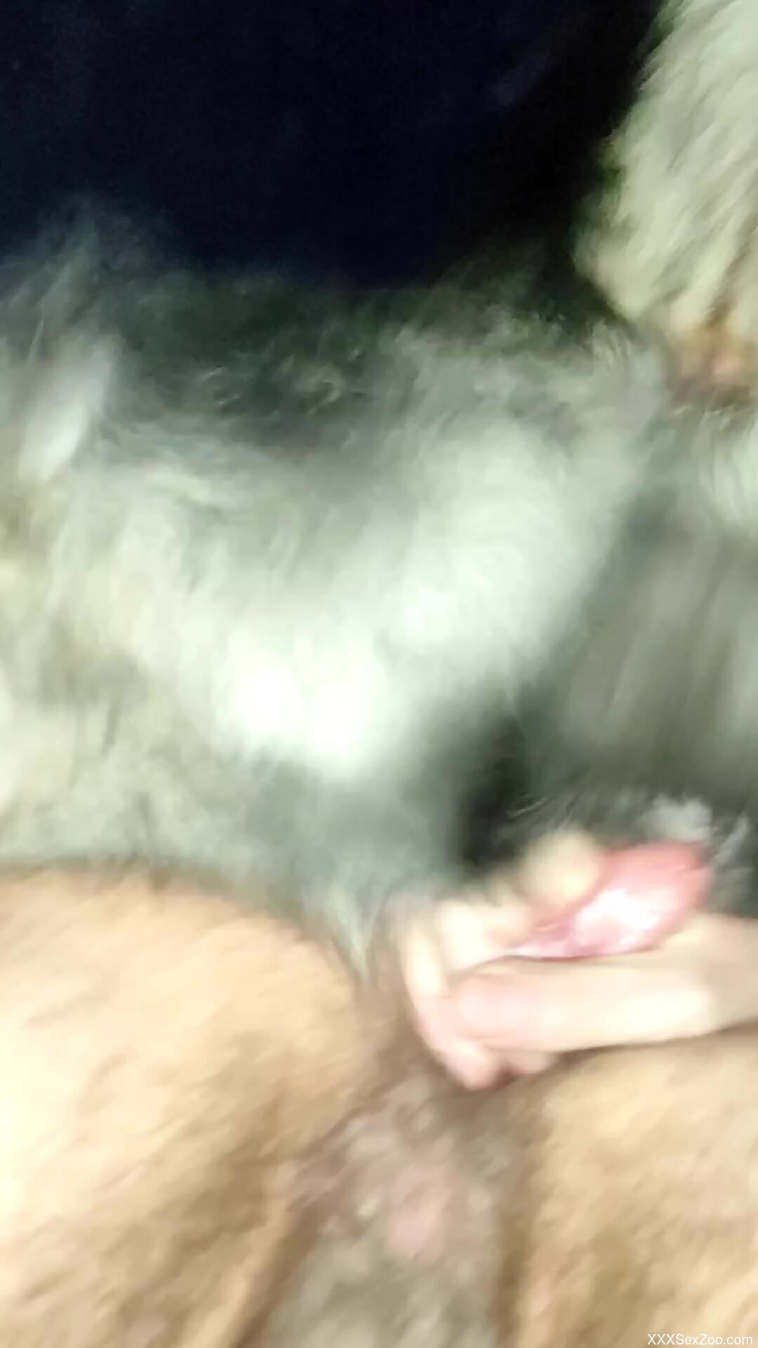 Hairy ass of a horny guy is fucked by a beast