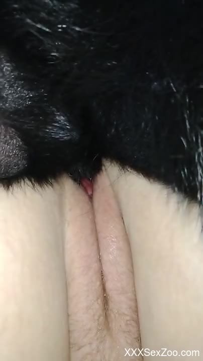 Meaty pussy of a zoophile filled with dog semen