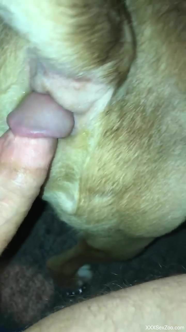 Midnight zoophilia hard sex makes horny man come hard