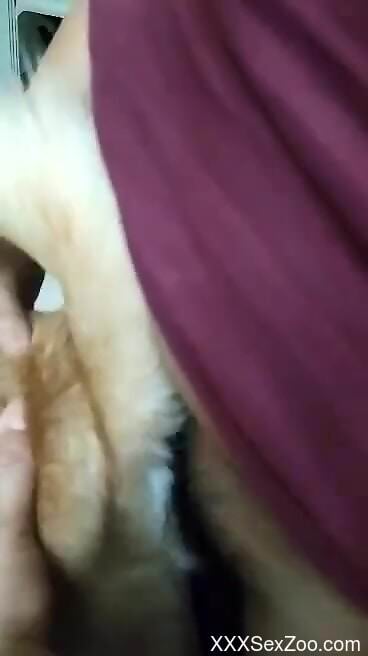 Sexy dog is prepping for the best orgasms ever