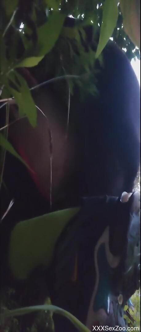 Dog fucks naked woman in the ass and pussy while on cam