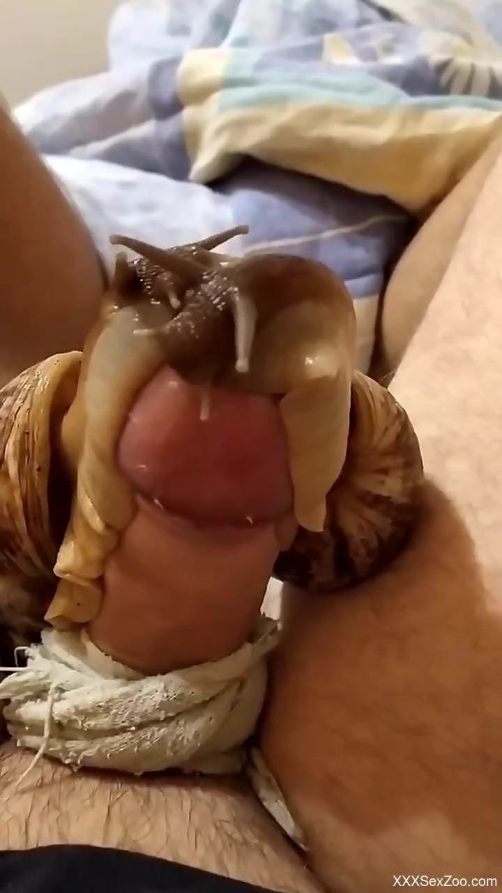 Snail dude returns with one more amazing video