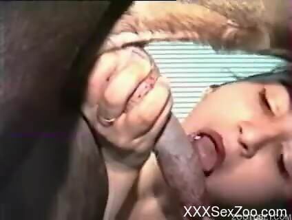 Thirsty sluts swap the dog dick to perform the best blowjob