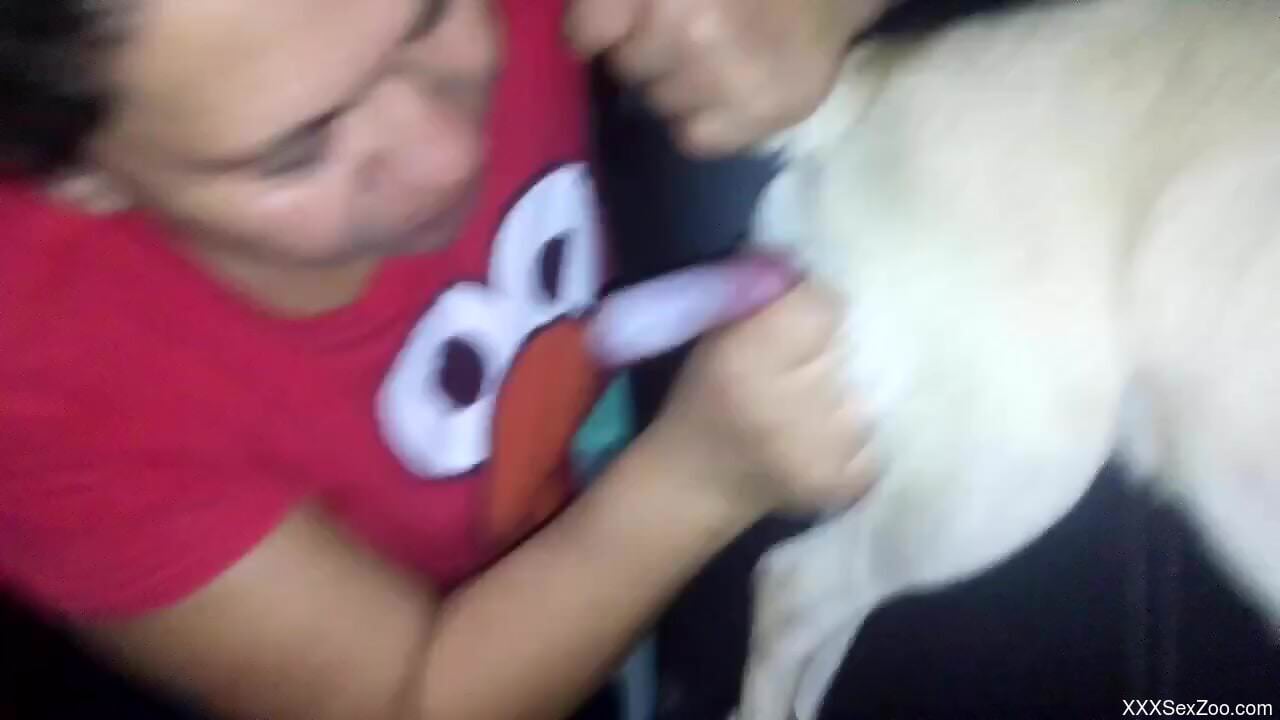 Amateur mature filmed sucking a Pug's dick on cam