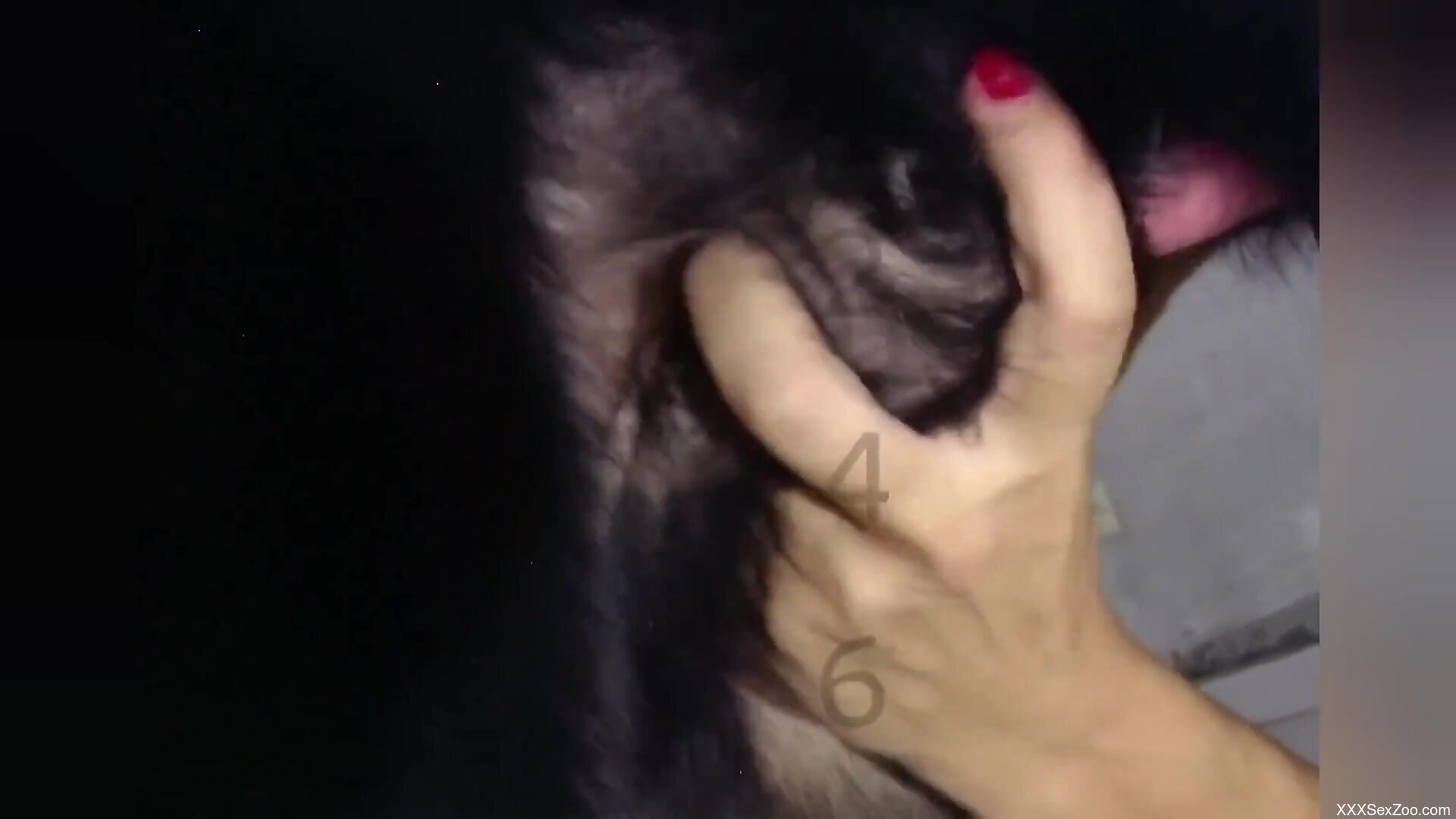 Double blowjob for a skinny brunette that sucks