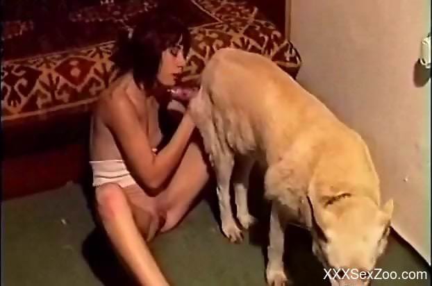Scrawny amateur deepthroating a dog's delicious red cock
