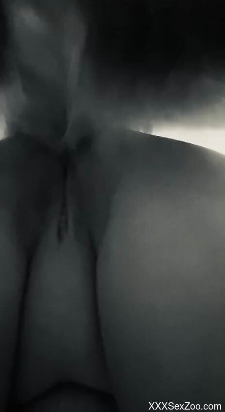 Nude female tries dog penis in the shaved pussy during live cam scenes