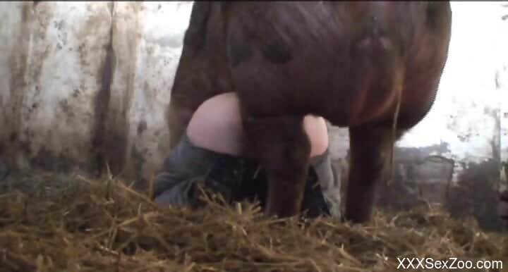 Pig fucks naked woman in the ass and pussy during a cam show