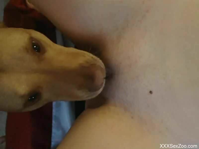 Sexy slut loves good pussy licking ahead of getting laid