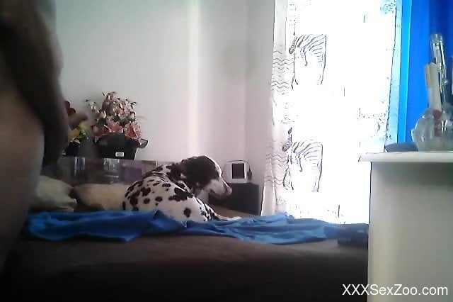 Big dog humps woman then cums inside her wet vagina