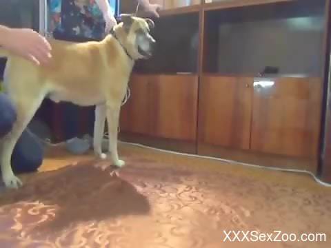 Thin female filmed at home trying sex with the dog