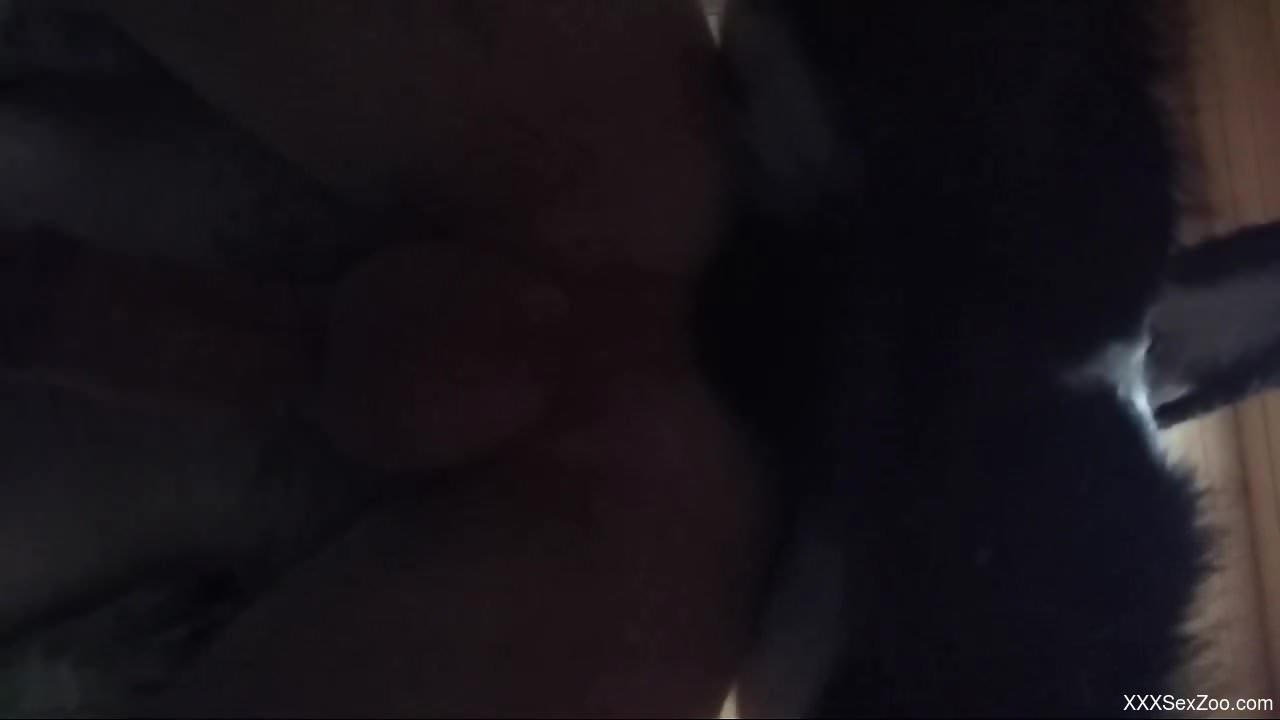 Nude man butt fucked by a furry animal and soaked in sperm