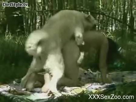 Picnic pounding for a brunette dog fuck addict