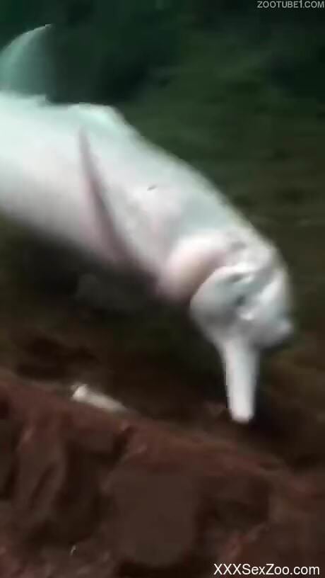 Amateur reveals naughty sex scenes in marine perversions