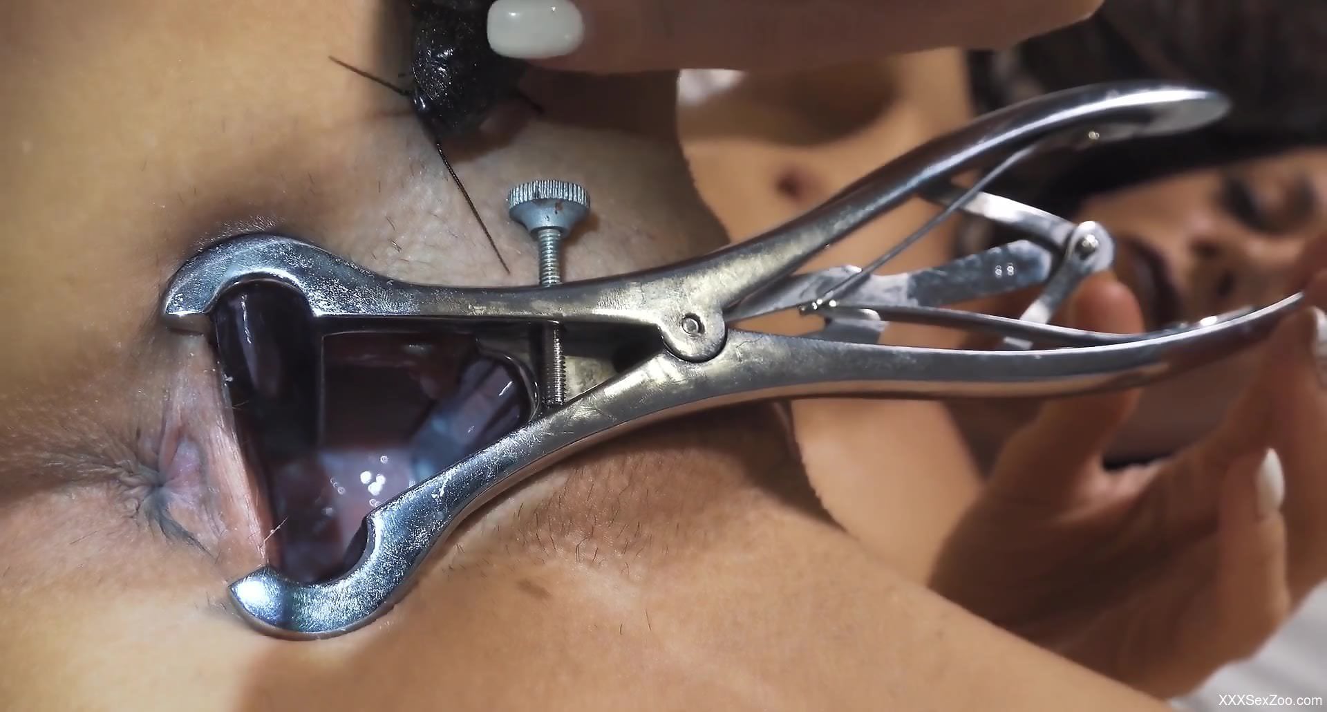 Awesome bestiality fetish scene with huge bugs