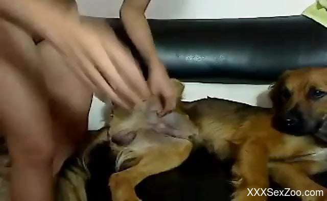 Bald pussy zoophile hottie destroyed by a dog