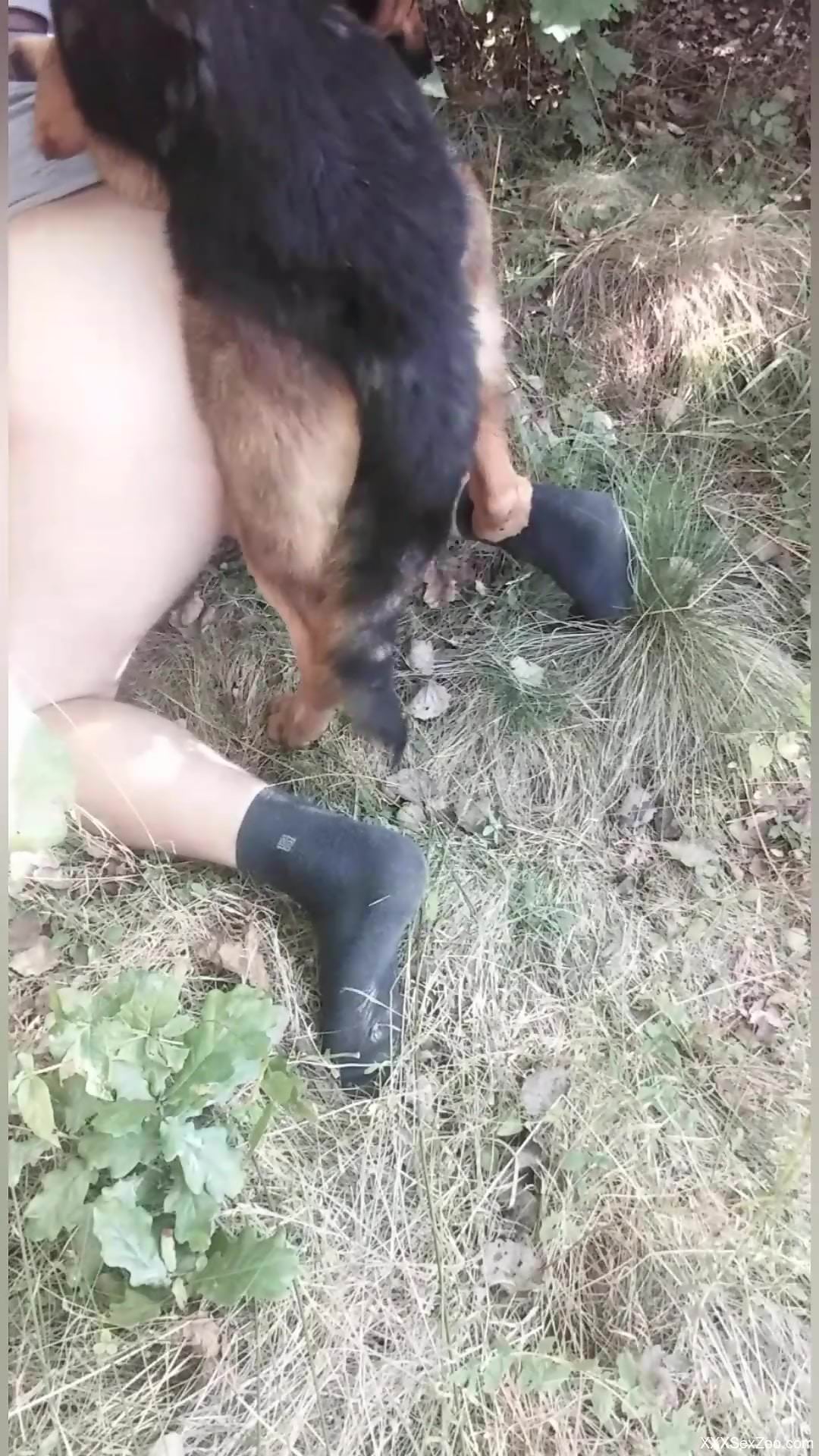 Sexy zoophile porked on all fours in an outdoor vid
