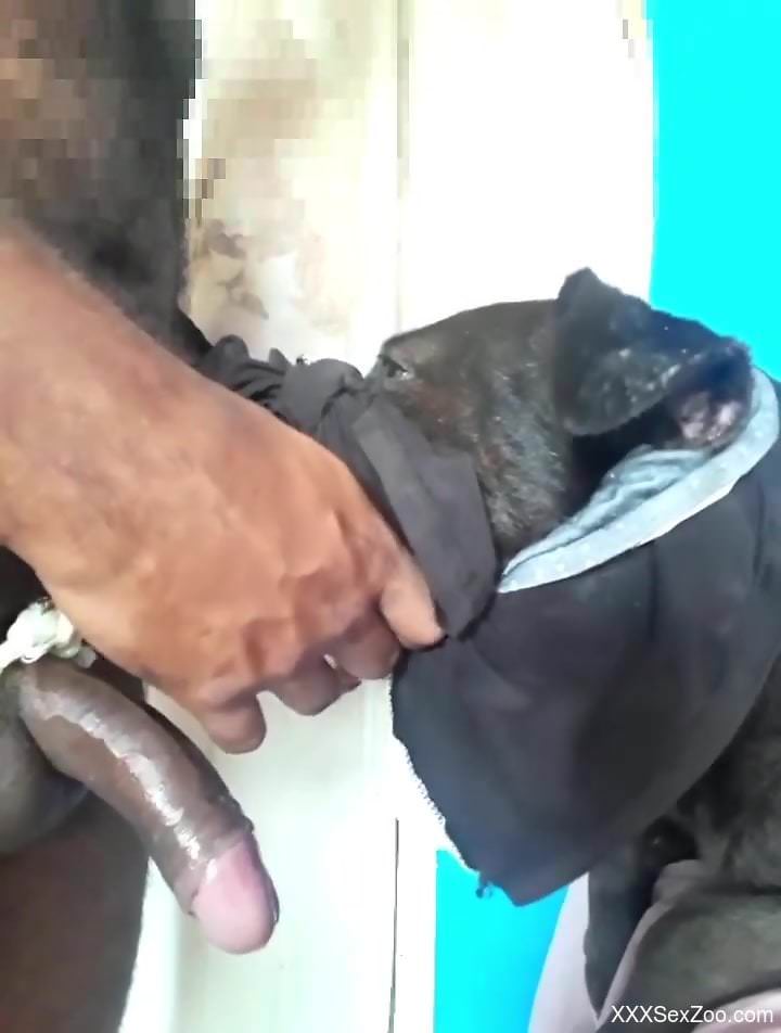 Sexy animal takes a huge load after violent oral