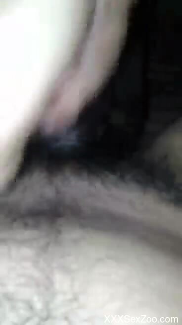 Hairy closeup bestiality with lots of moaning