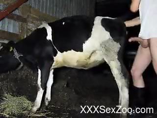 Cow with a sexy pussy gets fucked by a kinky farmer
