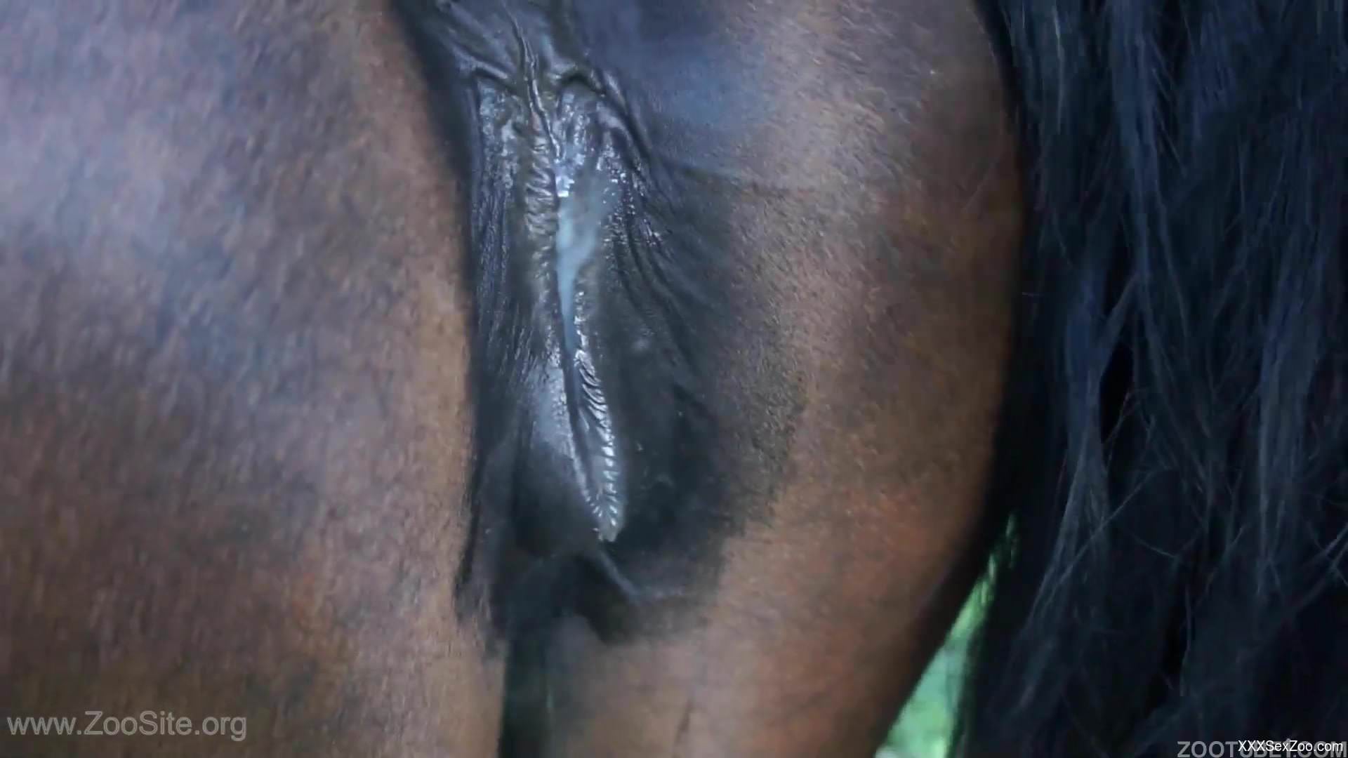 Tight asshole of a stallion looks so freaking fuckable