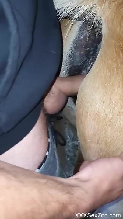 Sexy cock of a horny zoophile slides right in