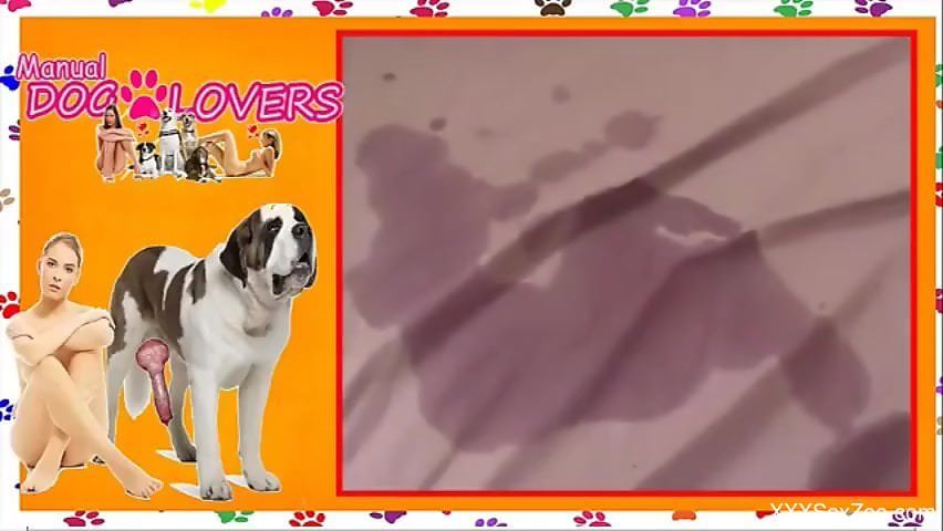 Dog cock penetrating a ripe human pussy in zoo porn