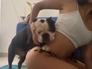 Girl Rides Dog Wild Sex, Extreme