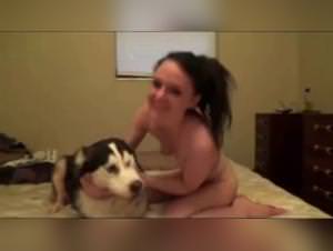 Cassey Roxy Dog Sex Videos