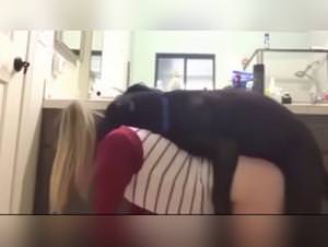 Dog Bangs in Who Let the Dogs Out (PMV)