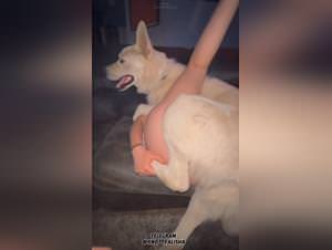 Dogslut, hardcore animal sex fantasy