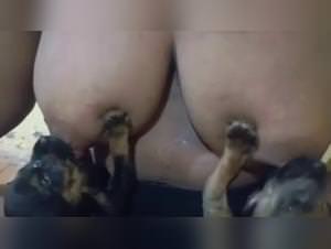 Puppy bitch milking