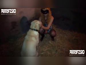 Bodil Joensen Dog Fuck Videos RARE