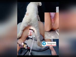 Chinese Girl First Time Dog Sex 28