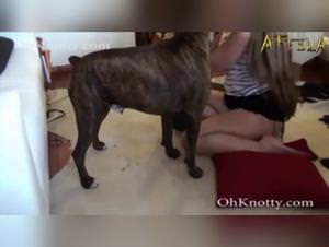 Slut Dogged - Hardcore XXX Videos