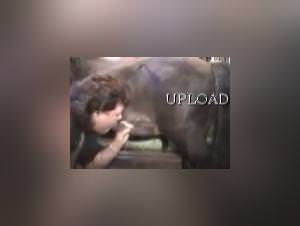 MAD-16: Animal Sex Glory Quest - Extreme