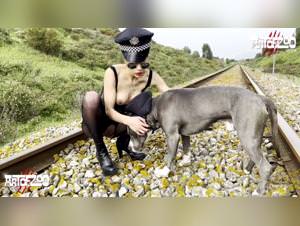 Dog knot porn, wild bestiality