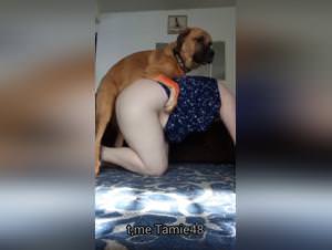 Animal sex with women, extreme scenes