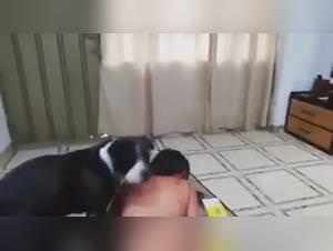 Latina slut Dog Fucks - Extreme XXX Video