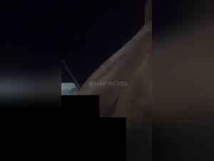 French Doggy Bestiality