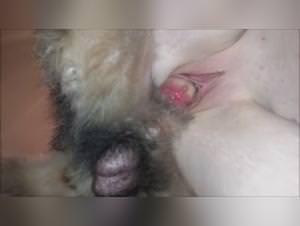 Icedone Milly Dog Sex Extreme Footage