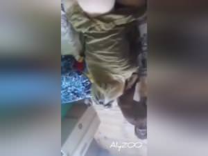 Doggy wild lust sessions