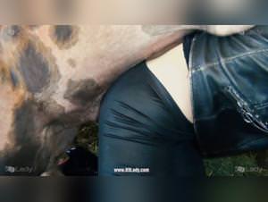 Xuxa sings with a bear: the hardest zoosex animations