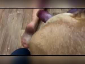 Beastly female comics for all fans