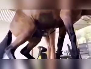 Bitch fucks dog intensely