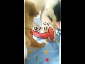 Free beastiality videos - Wife gets fucked on all fours by dog groomer in sexy lesbian porn